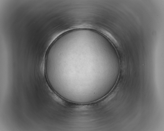 X0000111951228200908101216