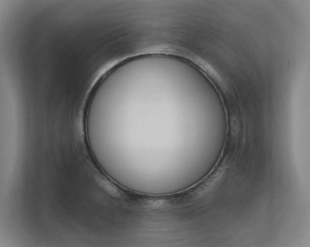 X0000111951230200908101216