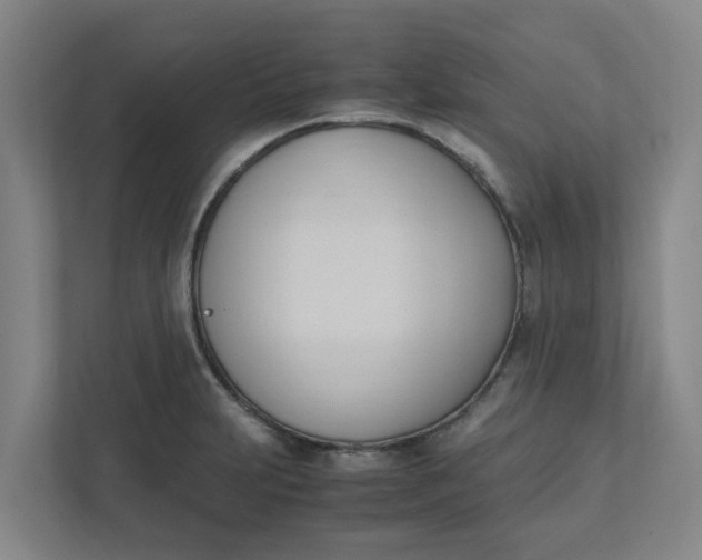 X0000111951231200908101216
