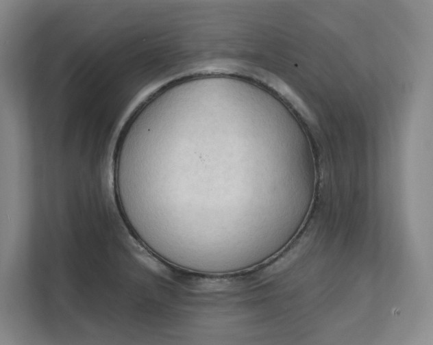 X0000111951232200908101216