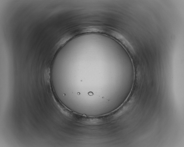 X0000111951233200908101216