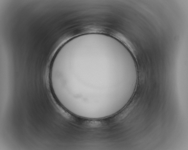 X0000111951235200908101216