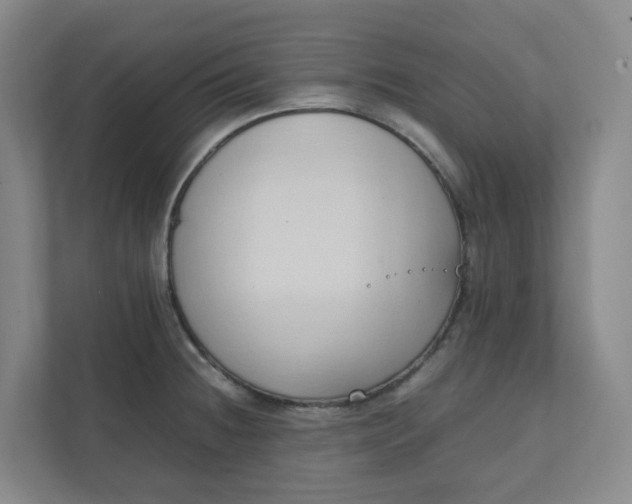 X0000111951236200908101216