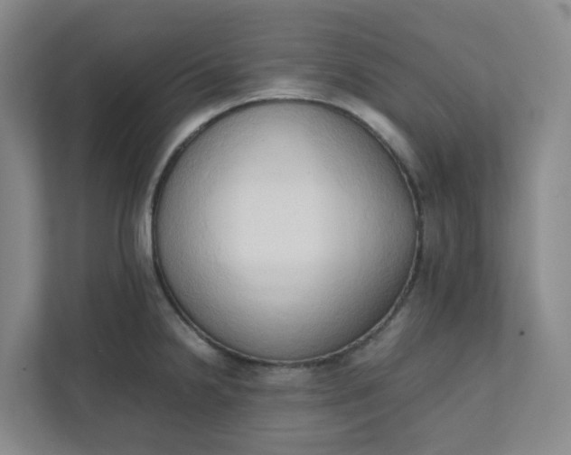 X0000111951238200908101216