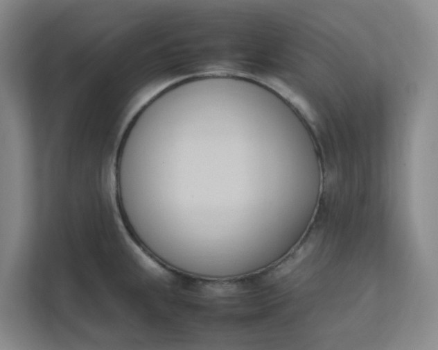 X0000111951239200908101216