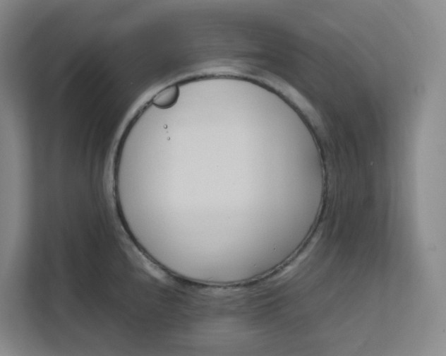 X0000111951240200908101216