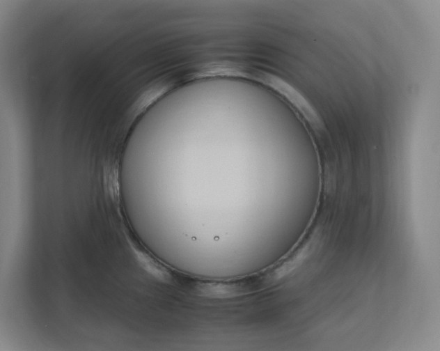 X0000111951241200908101216