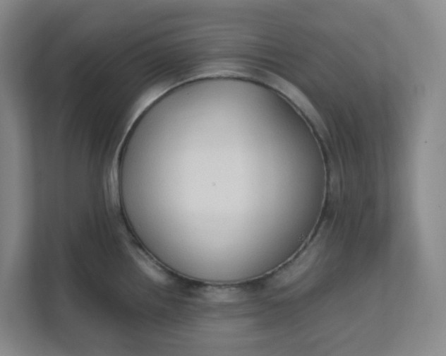 X0000111951242200908101216