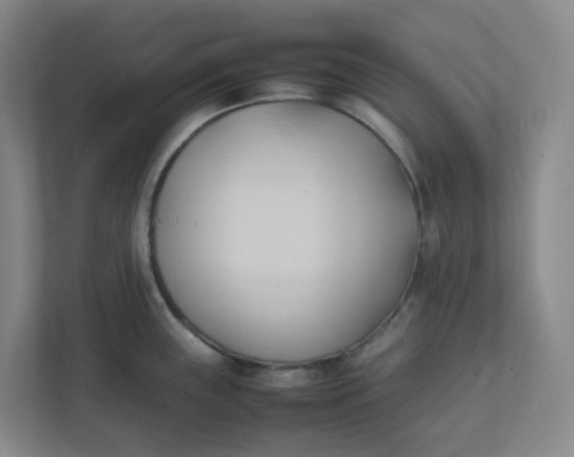 X0000111951243200908101216