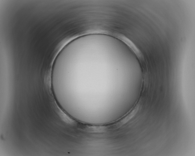 X0000111951244200908101216