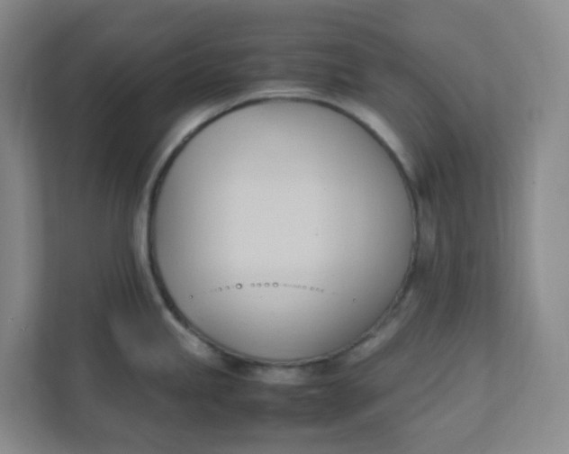 X0000111951245200908101216