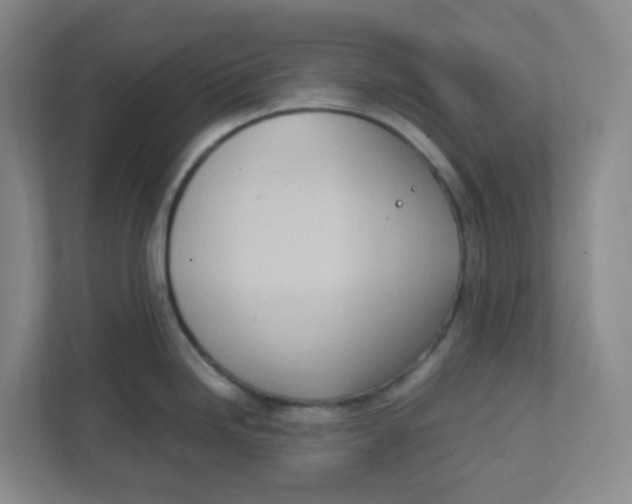 X0000111951246200908101216
