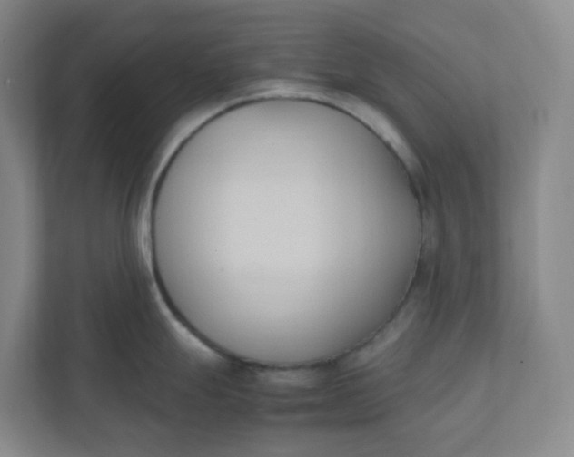 X0000111951247200908101216