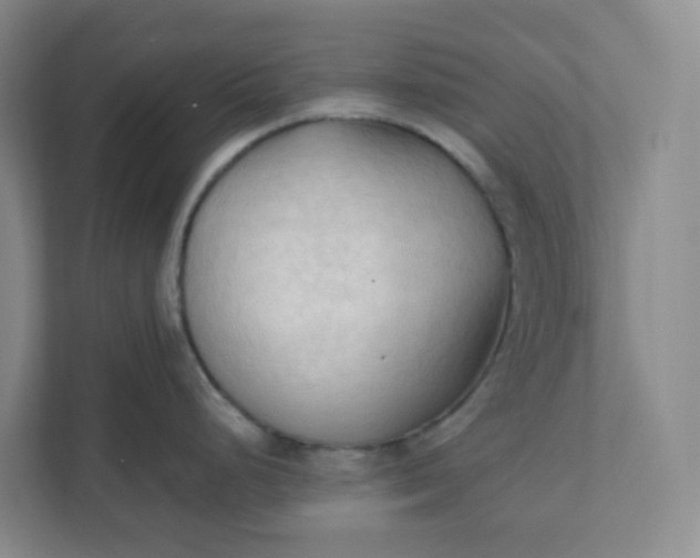 X0000111951248200908101216