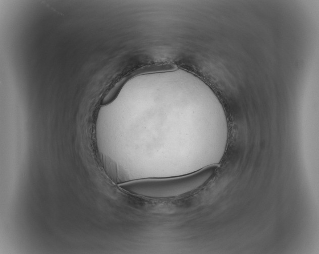 X0000111951249200908101215