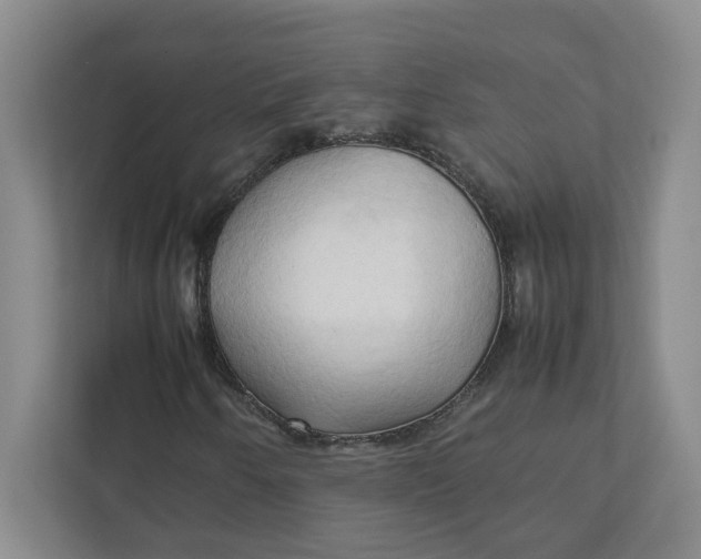 X0000111951250200908101215