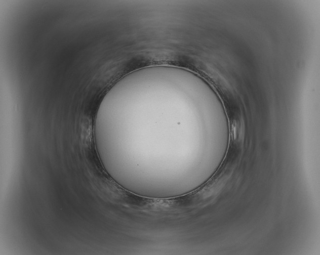 X0000111951251200908101215