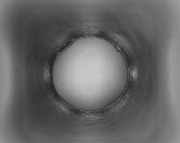 X0000111951252200908101215