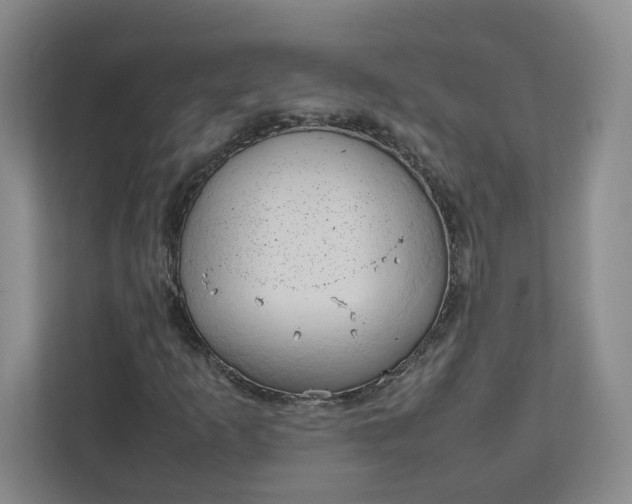 X0000111951253200908101215