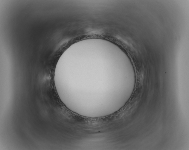 X0000111951254200908101215