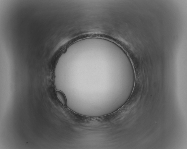 X0000111951255200908101215