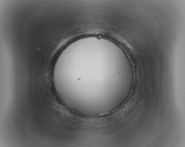 X0000111951256200908101215