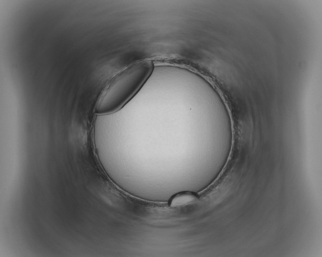 X0000111951257200908101215