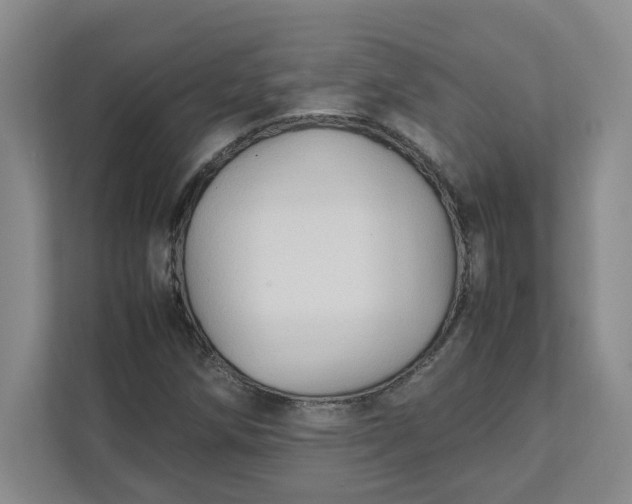X0000111951258200908101215