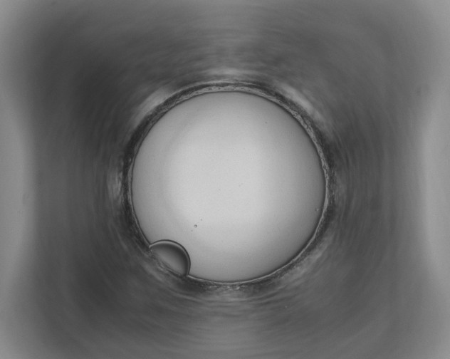 X0000111951259200908101215