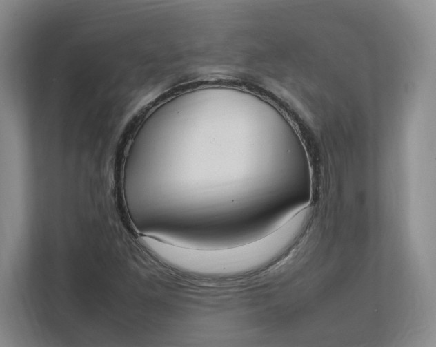 X0000111951261200908101215