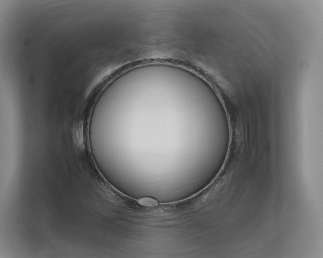 X0000111951262200908101215