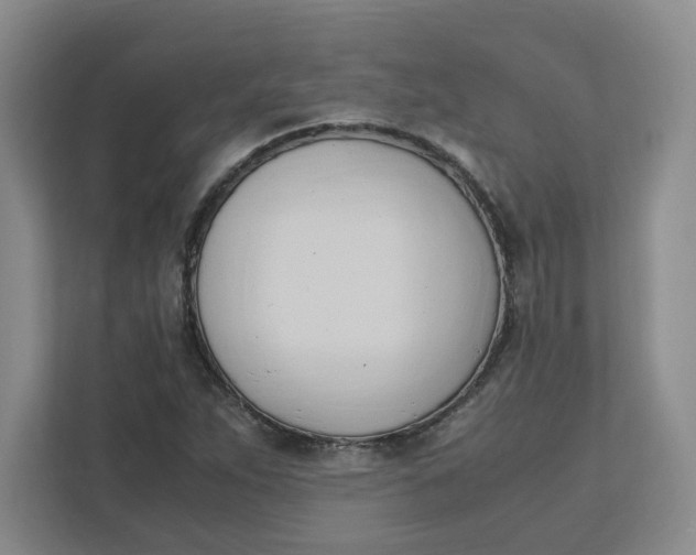 X0000111951263200908101215