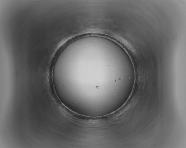 X0000111951264200908101215