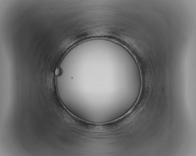 X0000111951265200908101215