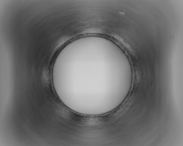 X0000111951266200908101215