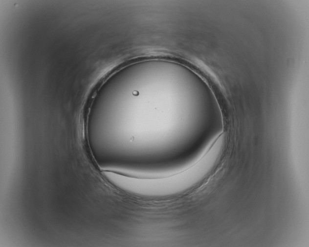 X0000111951269200908101215