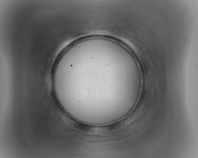 X0000111951271200908101215