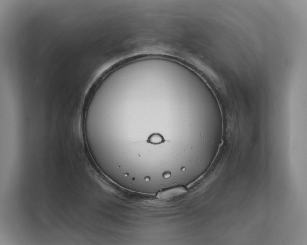 X0000111951272200908101215