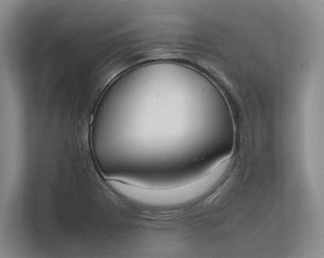 X0000111951273200908101215