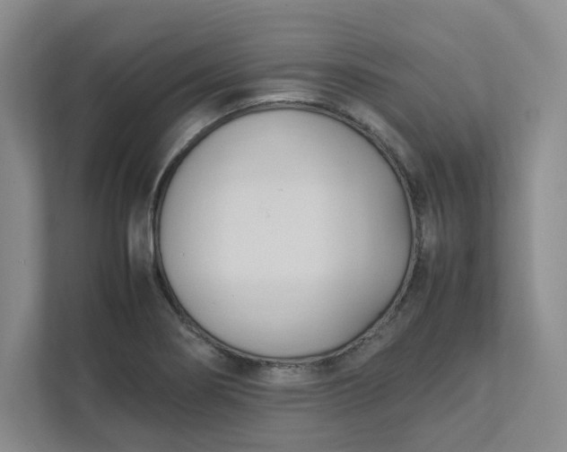 X0000111951274200908101215