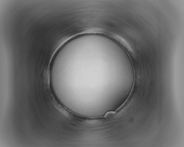 X0000111951276200908101215