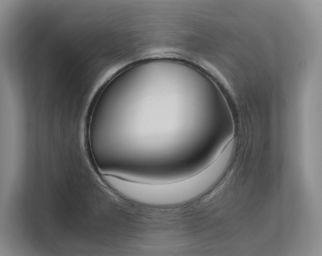 X0000111951277200908101215
