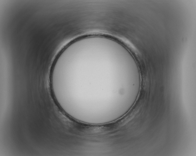 X0000111951279200908101215