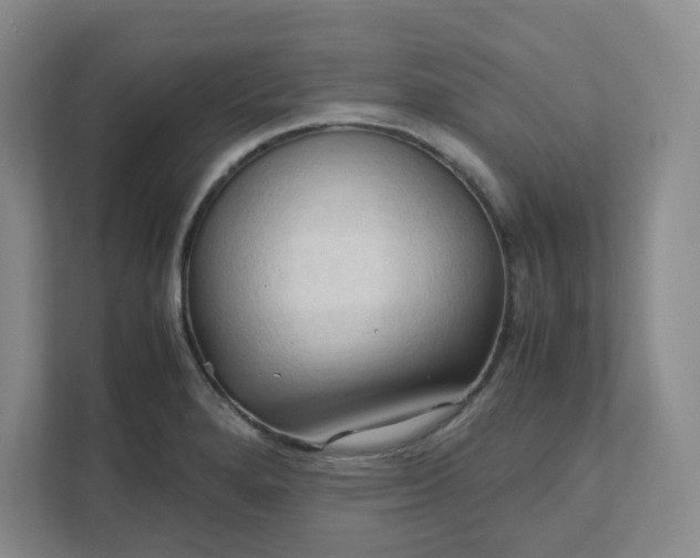 X0000111951280200908101215