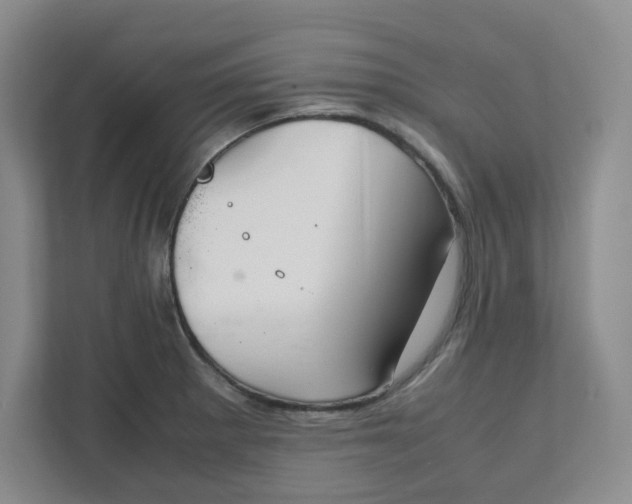 X0000111951281200908101215
