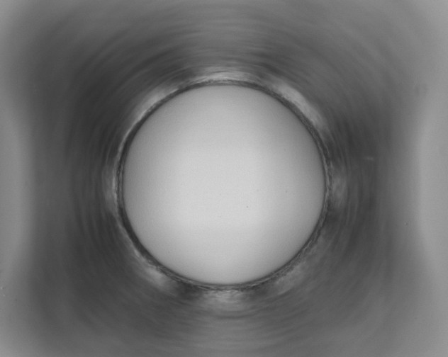 X0000111951282200908101215