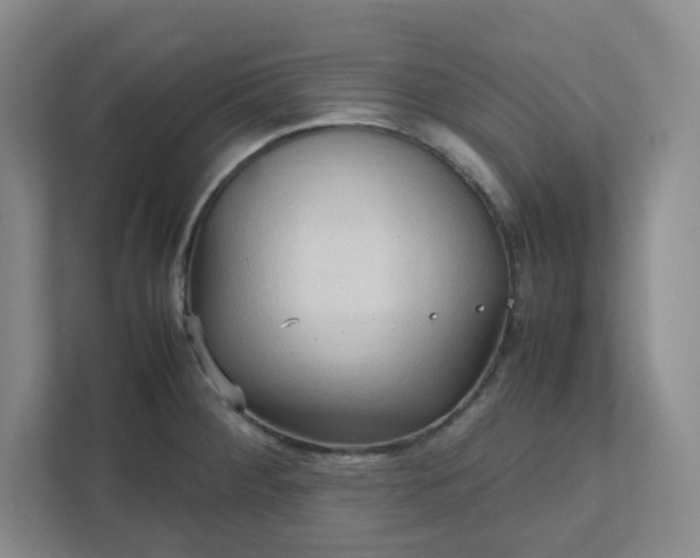 X0000111951284200908101215