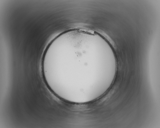 X0000111951285200908101215
