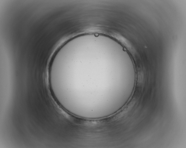 X0000111951286200908101215