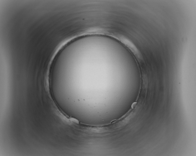 X0000111951288200908101215